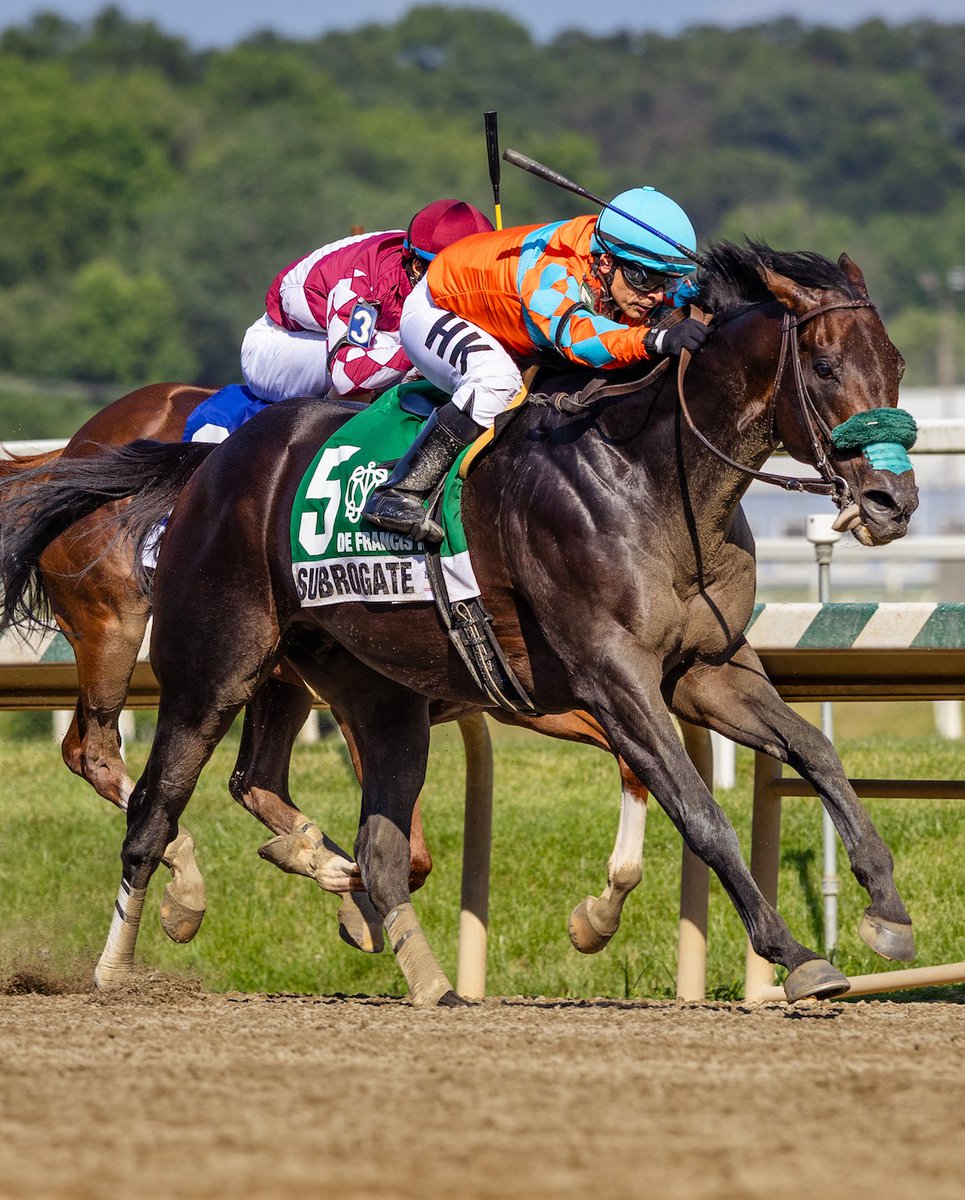 LaurelPark's tweet photo. The historic Preakness Meet at Laurel Park comes to a close this weekend, and we're ending it with one of Maryland's premier sprint races.

Don't miss the De Francis Dash and a full afternoon of stakes action this Saturday. Plus, put your handicapping skills to the test in the De Francis Dash Day Handicapping Challenge. Compete for cash prizes, a seat in the 2026 Breeders' Cup Betting Challenge (BCBC), and a coveted berth to the 2027 National Horseplayers Championship (NHC) in Las Vegas.

Register at https://t.co/RceO89eB75

We will also offer a special 50-cent Pick 4 wager beginning with Race 7 and concluding with the De Francis Dash in Race 10.

The first race is at 12 PM.