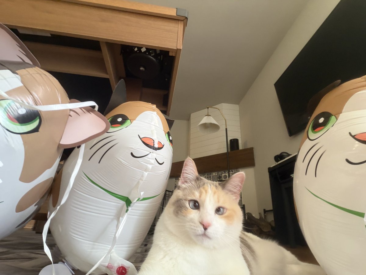 fatfatpankocat's tweet photo. Family selfie https://t.co/szZxdkP20Q