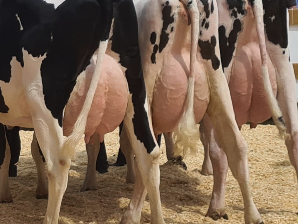 holsteinpress's tweet photo. My blokujemy, oni inwestują. Zasadnicza różnica pomiędzy PL i UA.
https://t.co/76AWCUuWOu https://t.co/dpxjl3R3qY