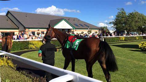 pigeon_island's tweet photo. 🐎Horse Racing Tipping Competition🐎

🐎 WEDNESDAY 24 JUNE 🐎 #PigeonSwoop4
@CarlisleRaces 330 402 435 505

#OpenToAll ✅ https://t.co/pYn1zeLyQu