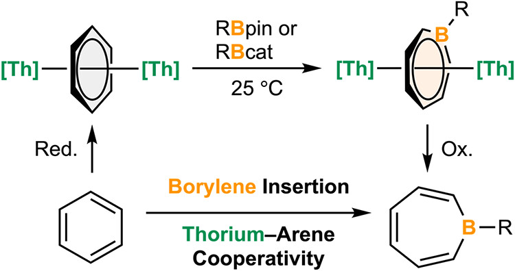 Boron_Chemistry's tweet photo. Benzene Ring Expansion to Borepins via Borylene Insertion Enabled by Thorium–Arene Cooperativity ( @J_A_C_S ): https://t.co/k3wE7AeQgq. https://t.co/wVoj5n6J5H