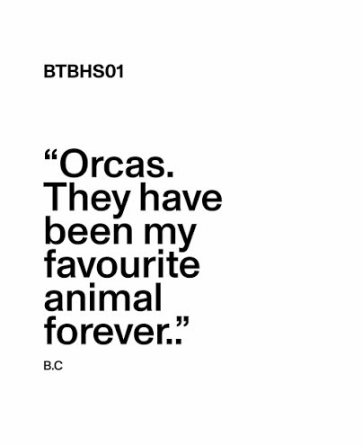 halesftv's tweet photo. belmont and his love for orcas https://t.co/TtPLNAzGmr