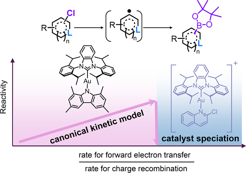 Boron_Chemistry's tweet photo. Activation-Reactivity Inversion in Au(I)-Complex-Photocatalyzed Borylation of Aryl Chlorides ( @ACSCatalysis ): https://t.co/FYymo4RYrN https://t.co/bA1iVy1uxM