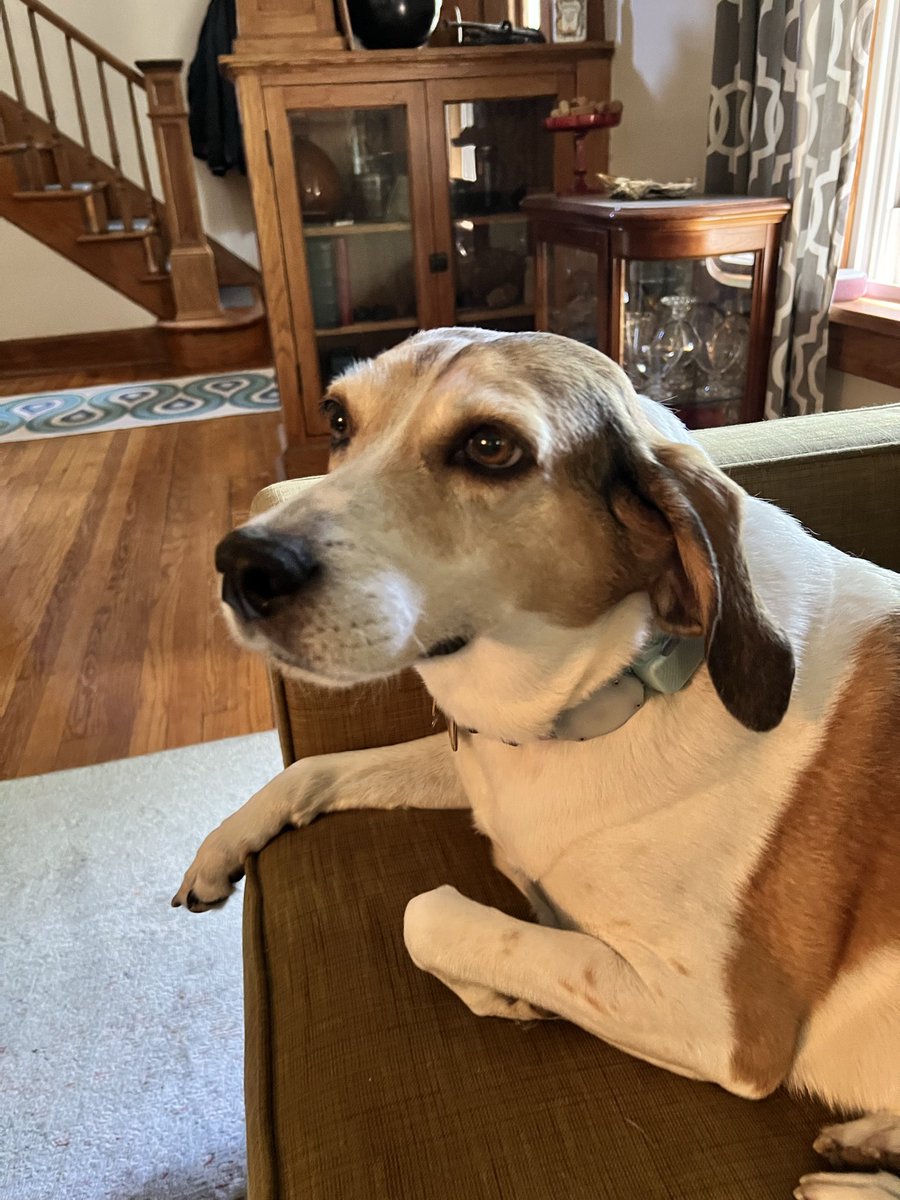 RobbyM1's tweet photo. @CoachRobynRab The girls sending love and good vibes for Bagel!! ❤️❤️❤️❤️❤️ https://t.co/GGMVQRLH7k