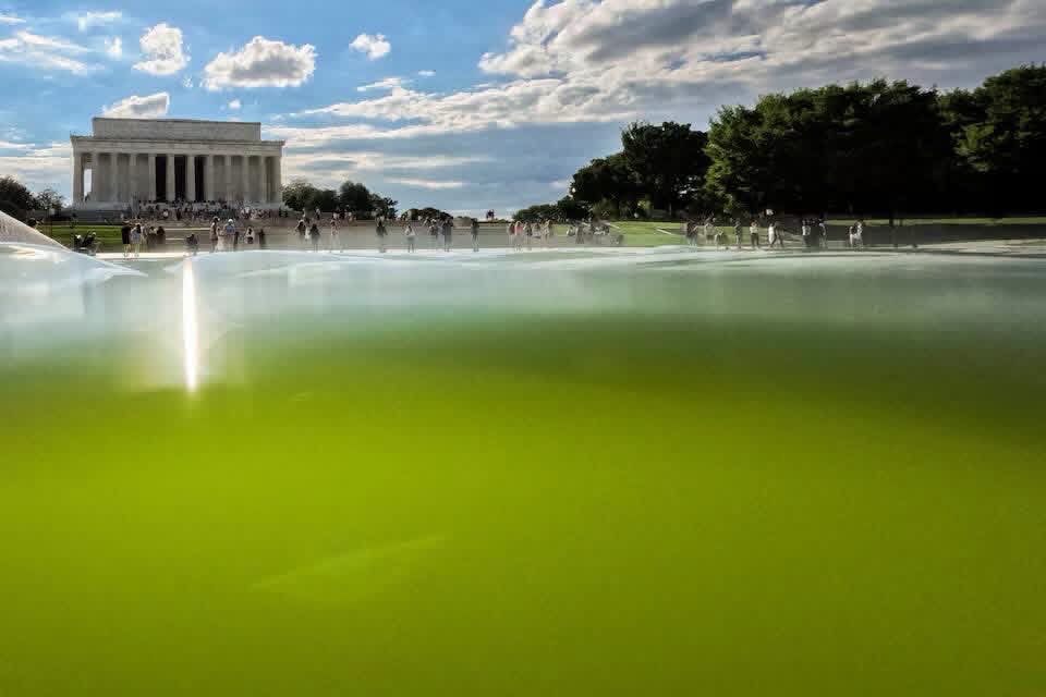 RichardLocrey5's tweet photo. @Franklin_Graham @BGEA #Trumps Swamp,#FranklinGraham https://t.co/Is48EkAAZz