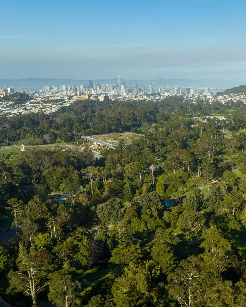 Gardens of Golden Gate Park tweet media