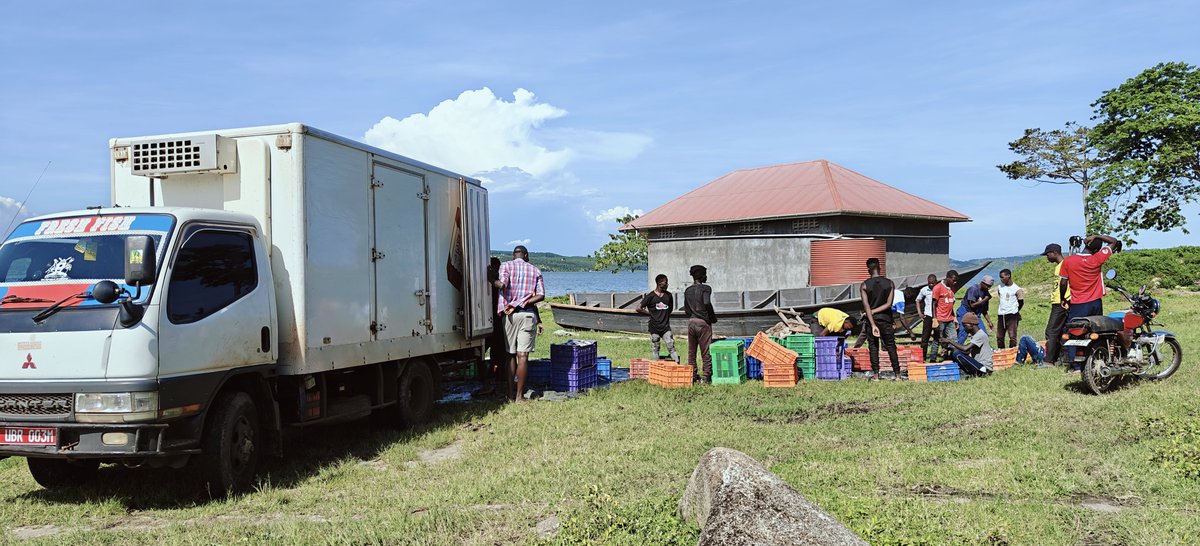 CordaidUganda's tweet photo. 📢 Big Day Tomorrow! 
Youth trained under #WeWork Project in #Busoga are set to undertake #UVTAB competency assessments in fish prod'tn

The assessment will validate  practical skills acquired &amp; bring participants a step closer to employment, entrepreneurship &amp; sust'ble livelhd https://t.co/B6pA2AikIy