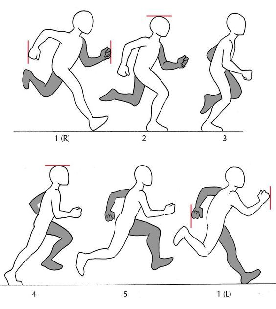 A convincing run cycle depends on weight shifts, body tilt, and strong ...
