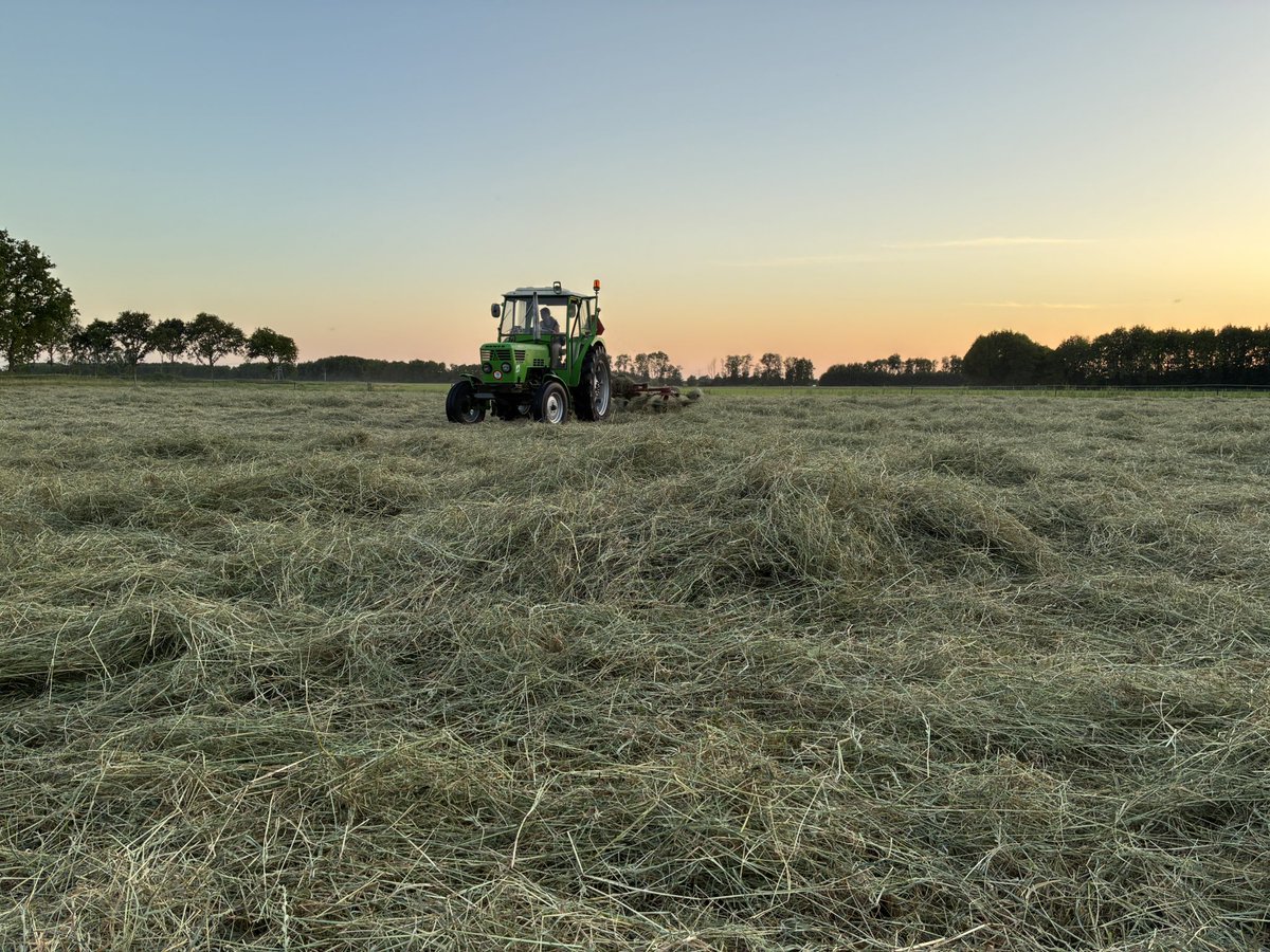 bhietberg's tweet photo. Testpanel doet een eerste controle van het hooi 
#koeiedag #hooi #deutz #geenhittestress https://t.co/0fqjFJjdJh