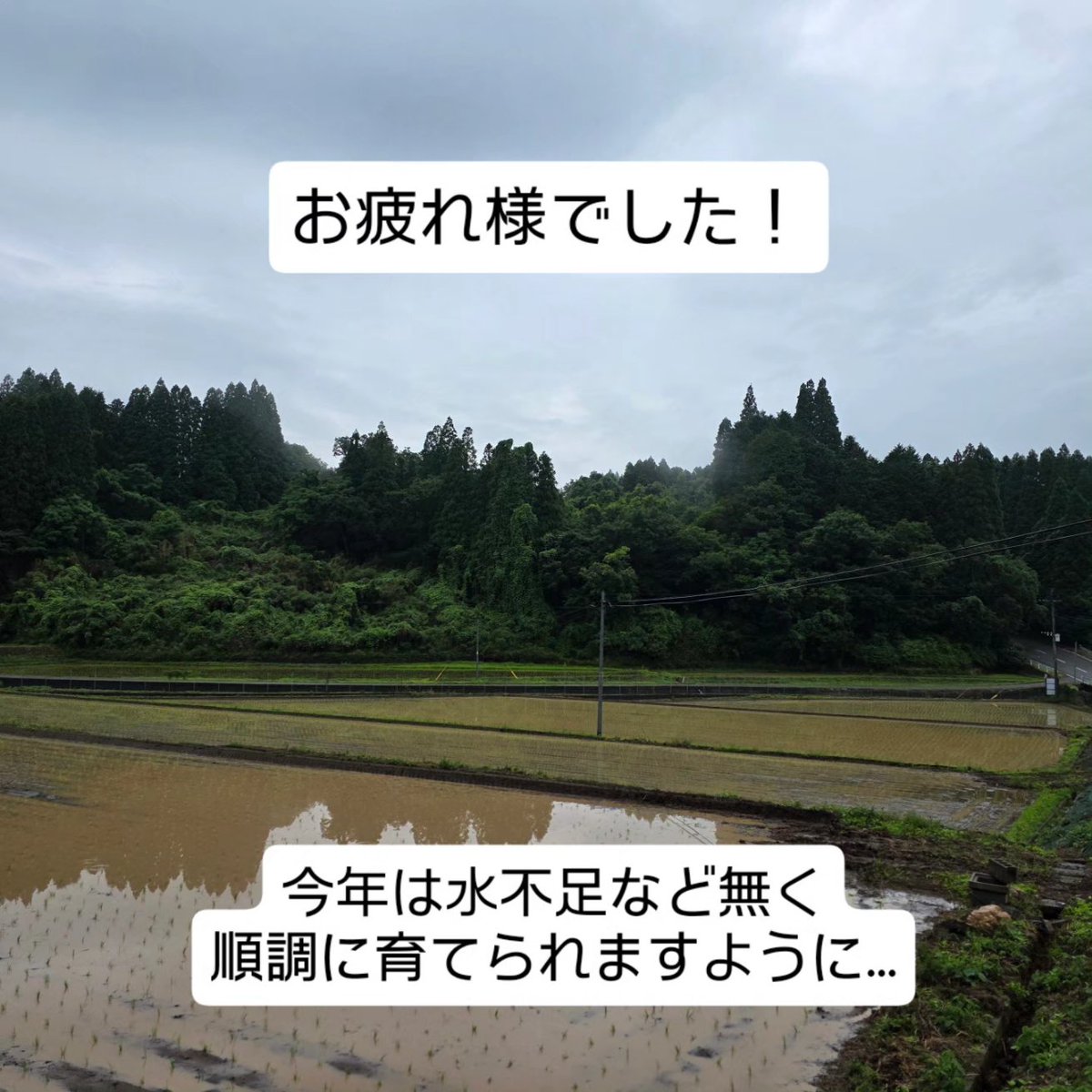 gnakano0707's tweet photo. 無事に終了しました！ https://t.co/w2ZicR1LHY