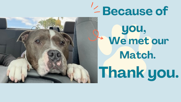 ElayneBoosler's tweet photo. Happy Happy Joy Joy! Why not take a few minutes to read all the Happy stories of rescue we do here at Tails of Joy to save lives and make the world better. Guaranteed to make your day! #tailsofjoy
https://t.co/kyIjjX8cYD https://t.co/1gycbwTSBQ