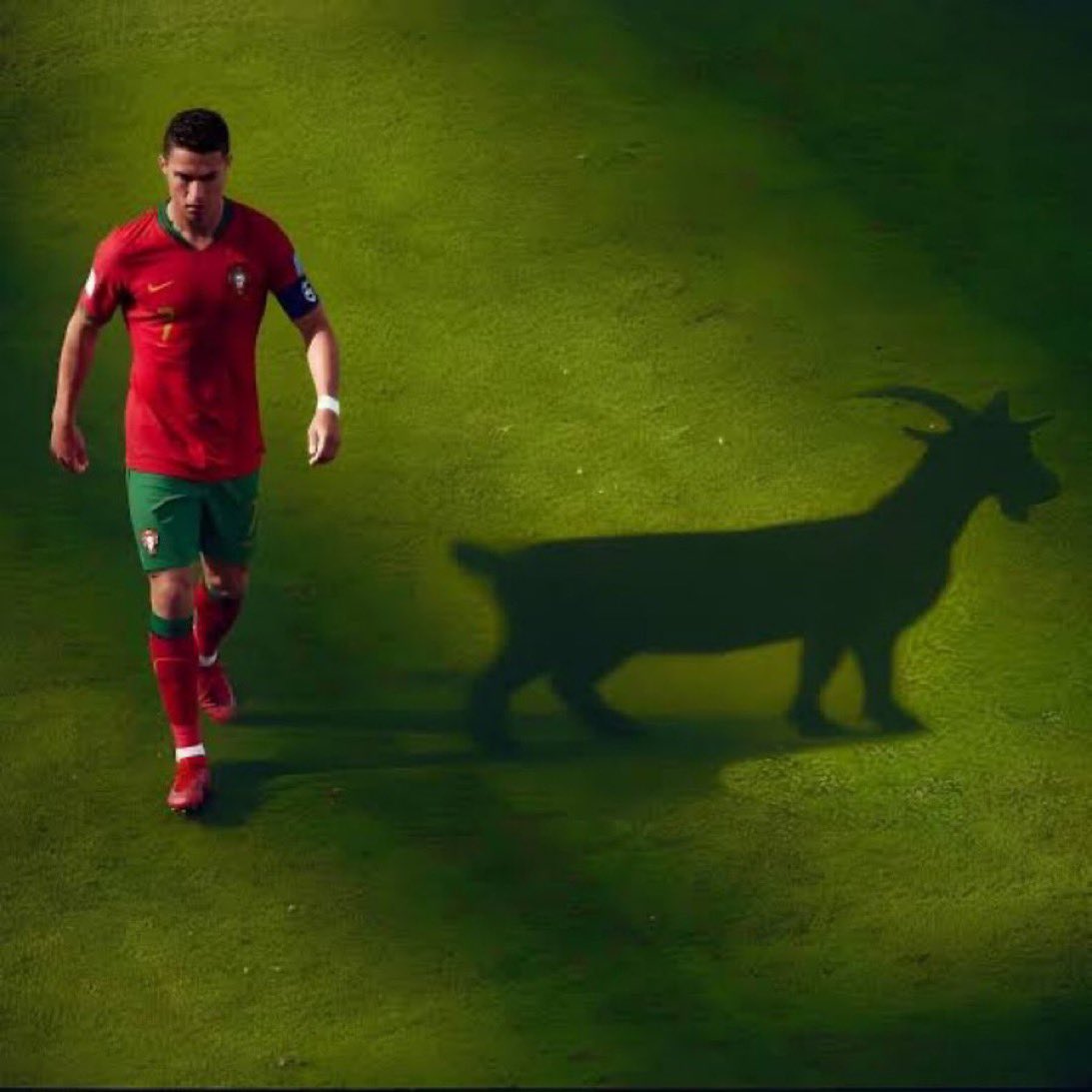 SHEEGO__'s tweet photo. Ronaldo is Happy, I am happy 😃 #cr7🇵🇹 https://t.co/dpGBeoQG9G