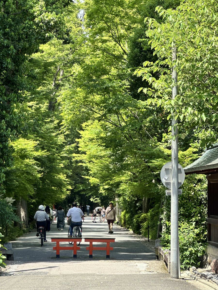 Flying_Iberico's tweet photo. 糺の森(ただすのもり)

祭神の賀茂建角身命がこの鎮守の森で

裁判を行なったという神話に由来。

「糺す」とは取り調べることで、ここは

神々の裁判所の地ということらしい。

#京都
#下鴨神社
#糺の森 https://t.co/3dQ1fKdvzs