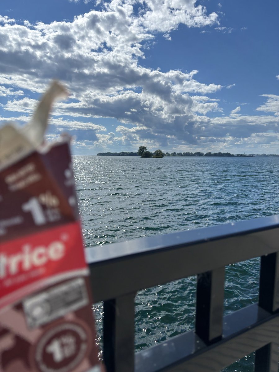Cold_Skully's tweet photo. Stuck on an island with chocolate milk paid by the hour rn https://t.co/uhqX89Fxl5