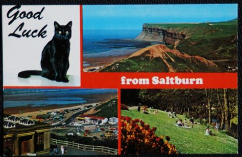 HJBlenkinsop's tweet photo. This Tuesday brings you black cat good luck from Saltburn! #cats #catlore https://t.co/gN7zL7KzpN