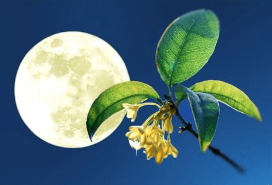 LegalInformat14's tweet photo. Happy Mid-Autumn Festival!  Warm wishes of reunion, sweet mooncakes and cozy nights to you and yours.， https://t.co/aUejmuD7B7