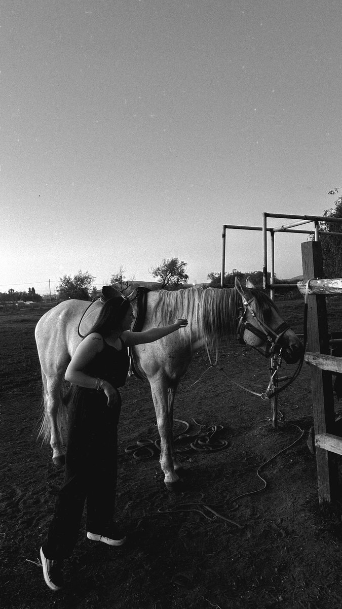 kulilkbotan's tweet photo. Ez û Beyaz🀄️🤍 https://t.co/2E8yzqlynG