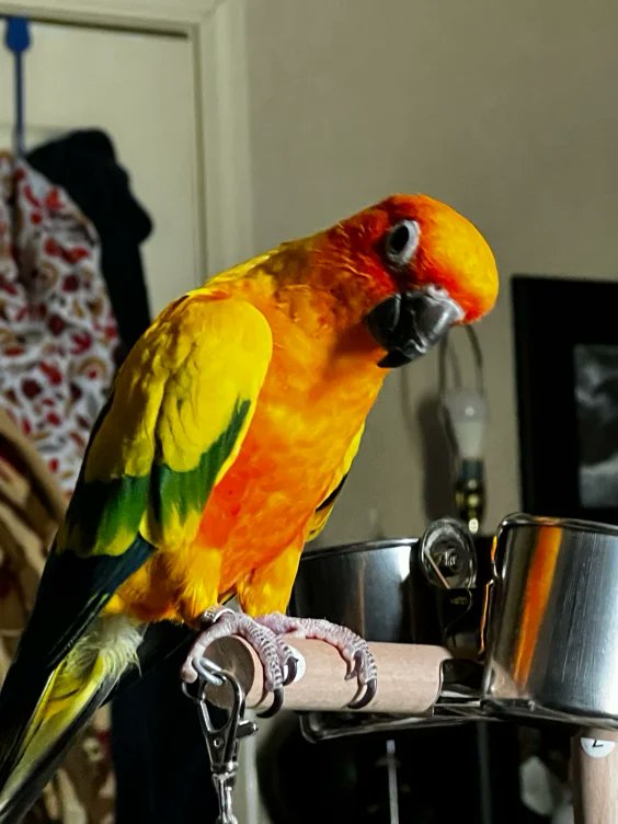 pupz's tweet photo. I just received a contribution towards Memorial Tattoo for Sunni from Anonymous via Throne. Thank you! https://t.co/vnr63pOYBK #Wishlist #Throne @official_throne https://t.co/KN5Mg09jcD
