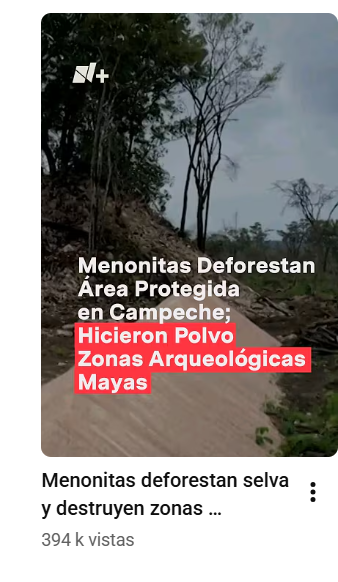 dorirez84490's tweet photo. @JulioG7414 @Prazkat Tenemos que ir contra las narco sectas protestantes que proceden de Gringolandia. Por ejemplo la luz del mundo tiene su propio ejercito, nexos con el narco y son los que financia morena. Mientras que al mismo tiempo mormones como la familia Lebaron se estan apoderando del agua https://t.co/2KCTIiRZMg