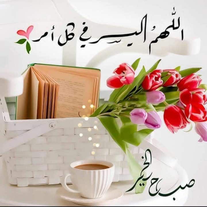 malak_h2020's tweet photo. اللهم اغفر لنا ذنوبنا، ويسّر أمورنا، واشرح صدورنا، وبارك لنا في أرزاقنا وأوقاتنا، واجعل الخير رفيق دروبنا🌸❤️

#صِبّــآحً_آلَخٌــيّر_وِآلَسًعَـــآدُهِ #صِـبّـآحً_آلَأشّــيّآء_آلَمِشّـرقَـة 
#اقتباسات https://t.co/PkYoiW64qT