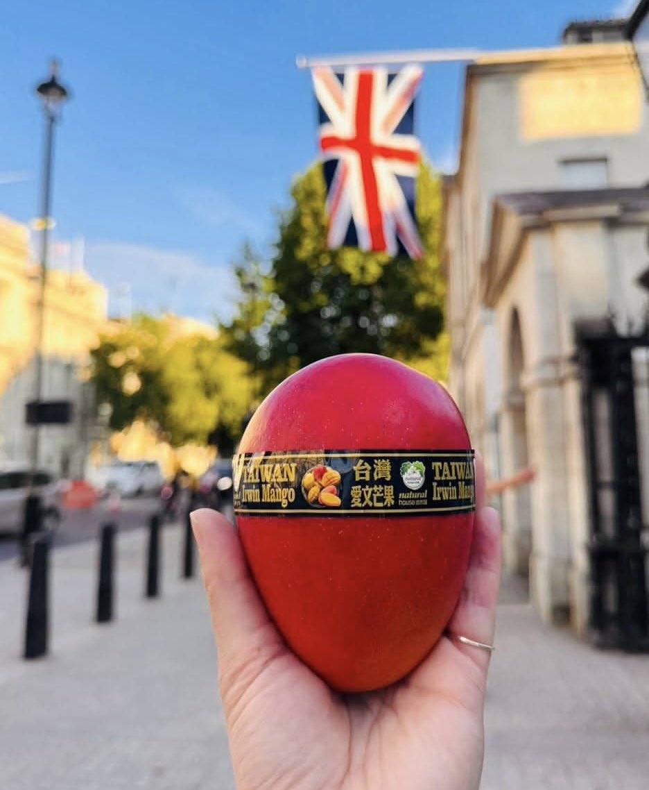 Kai11La's tweet photo. 🇹🇼🥭🇬🇧

英國再傳捷報！

從台灣到倫敦6000英里的距離、歷經檢疫、冷鏈運輸與英國通關程序後，

台灣愛文芒果，
正式抵達英國倫敦。

從產地到英國倫敦
每一步都經過嚴格的品質管理與商業進口程序，並符合英國商業進口及販售所需規範。

這不只是一顆芒果，

更是台灣水果走向世界的重要一步。

超過6,000英里（約10,000公里）的旅程，
將台灣土地孕育出的香甜滋味，
帶到英國消費者面前。

接下來，
讓我們看看來自台灣的精品水果、在英國能賣出多少錢？在英國的國人們有沒有看到的？