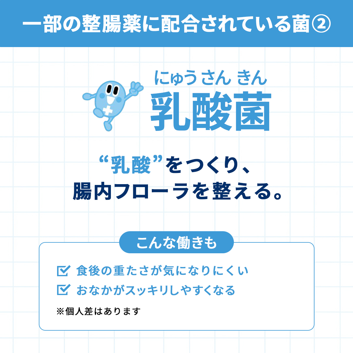 乳酸菌について解説👇