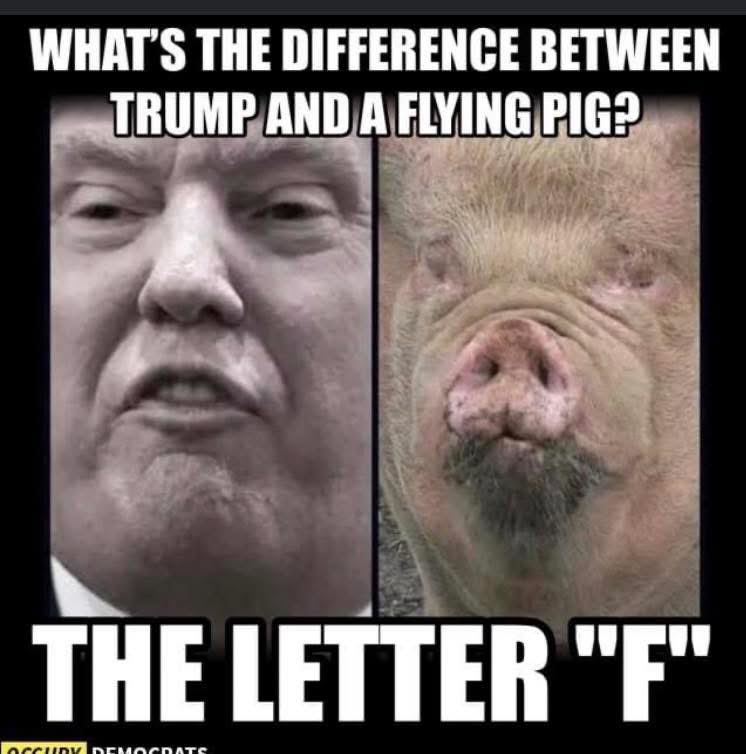 LiberalActivis4's tweet photo. @Mahukaawe @PalmTreeSki @Tim45678901 @acnewsitics Good grief. You guys will defend Trump to the bitter end 🤯 https://t.co/Q9oAqxjopI