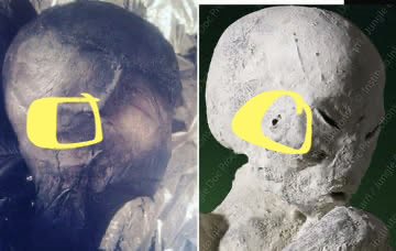 LwMark1134's tweet photo. Jonathan Reeds Tridactyl is legit . Matches everything about the nazca mummies found. Even the one found in the snow
The skin , eyes , mouth everything
Found years apart and different parts of the world!
#disclosure #ufo #uap #ufox #ufotwitter #jonathanreed #contactinthewoods https://t.co/NX97ttV4YN