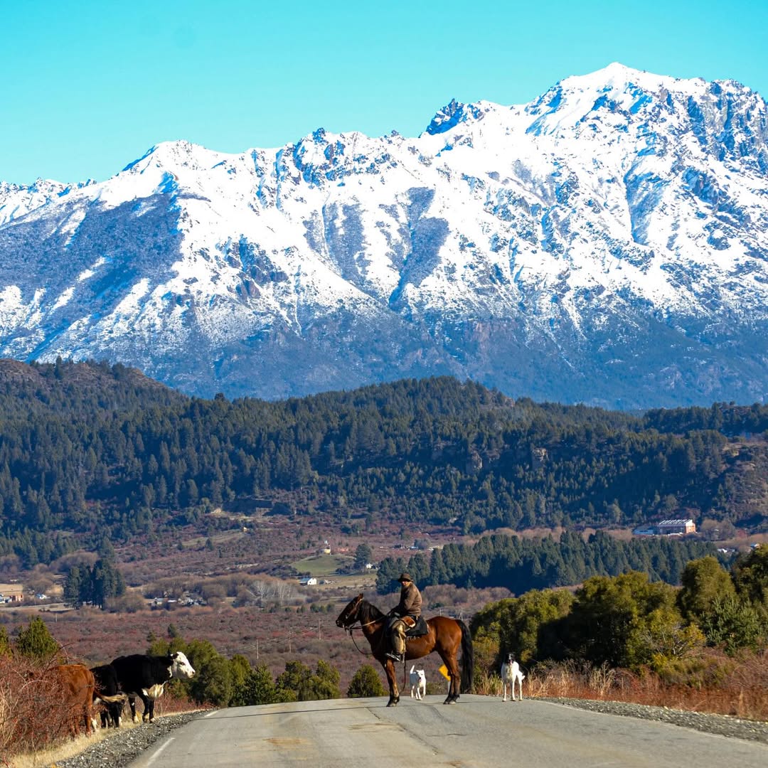 soymariche's tweet photo. Junio en #Cholila #ComarcaAndina. Chubut se va empapando de blanco y se paisajea #ivanmiguens👏🏼 #BuenMiercoles twitter! Patagonia 🇦🇷❄🌄🩵 https://t.co/ONCdc7HH2g