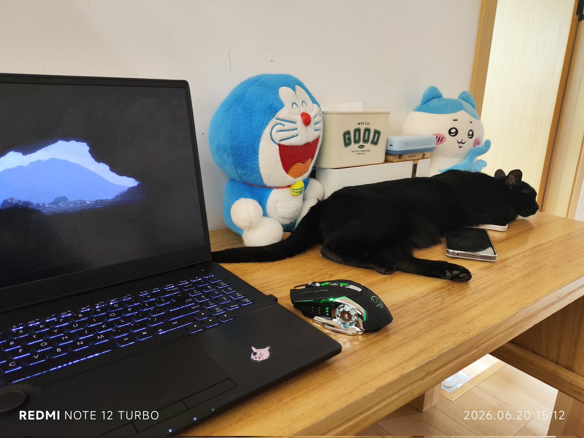 DShuo5315's tweet photo. play #Deathstranding with cat
This little evil black cat loves electronic equipment  🐱🐱🐱🐱🐱 https://t.co/gYvY5pu88j