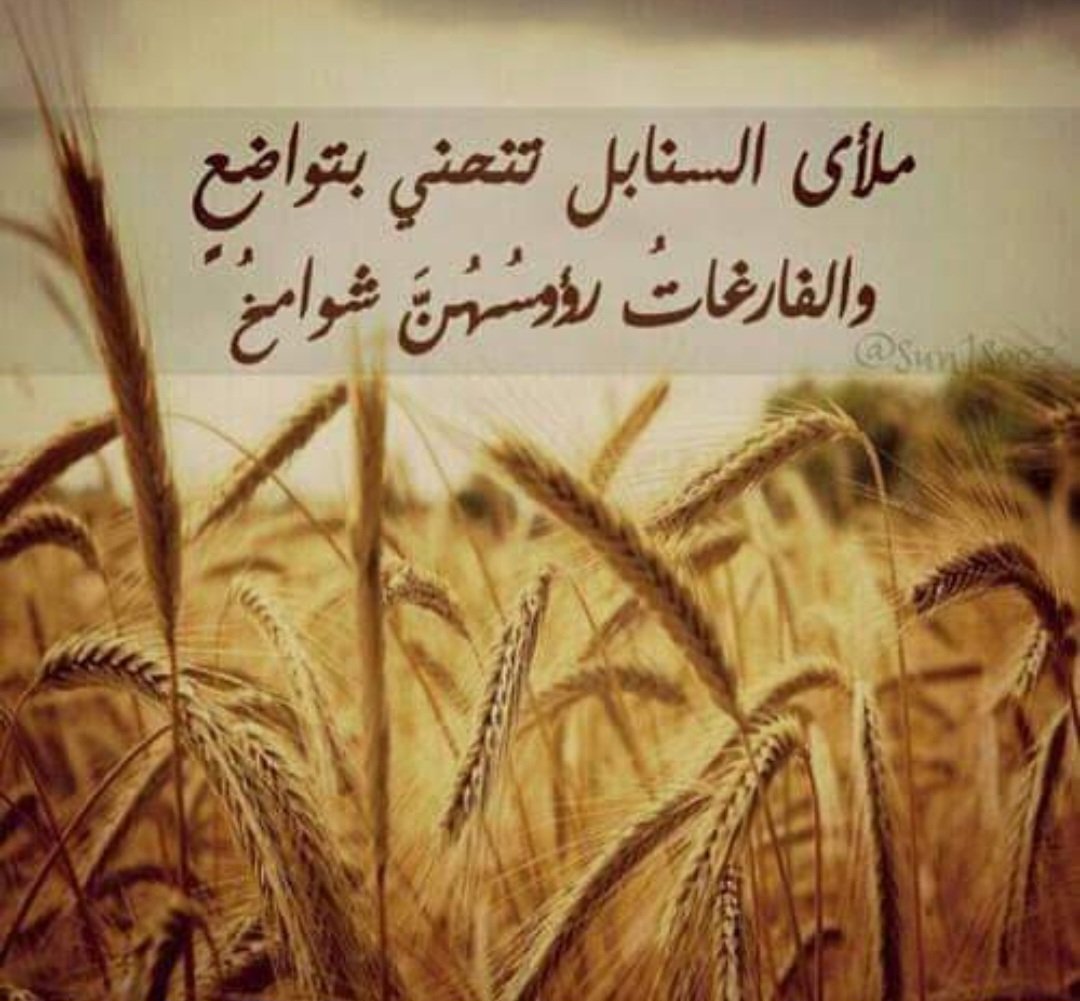 abdo97gad's tweet photo. مَلأى السنابلِ تنحني بتواضعٍ ... والفارغاتُ رؤوسُهُنَّ شَوامخُ" 
مثلٍ رائعٍ للنفوس. https://t.co/KN1qg58eOr