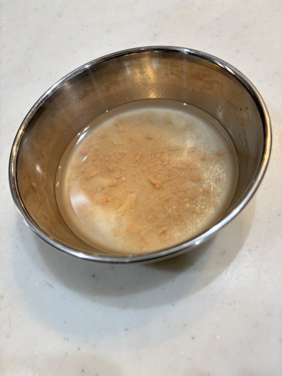 peruruch's tweet photo. ちゅ〜るを溶かしたちゅ〜る水もよく飲んでくれる。たまに飲まなくなるけど数日空けると飲んでくれる。 https://t.co/bBblq37GHb