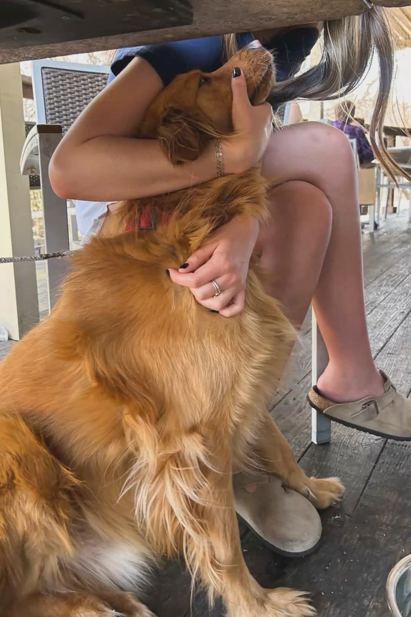 Novaknotts2004's tweet photo. Chilling with my other baby boo!!!
🐶🐾🥰❤️ My babies mean everything to me cause they give me nothing but happiness and joy 😍 Click my link for my personal menu/videos ⬇️⬇️⬇️

https://t.co/WH1u7GGEpj

https://t.co/WH1u7GGEpj 

#Zooislife #Zoogirl #Anal #Knotty #Texas #Doggy #Me https://t.co/vavr3iFc2Q
