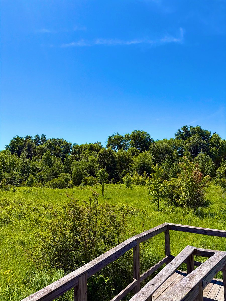 Captnutzach7's tweet photo. Daubenspeck Park Indianapolis, IN 
June 23 2026 https://t.co/lQi1CtwPJt