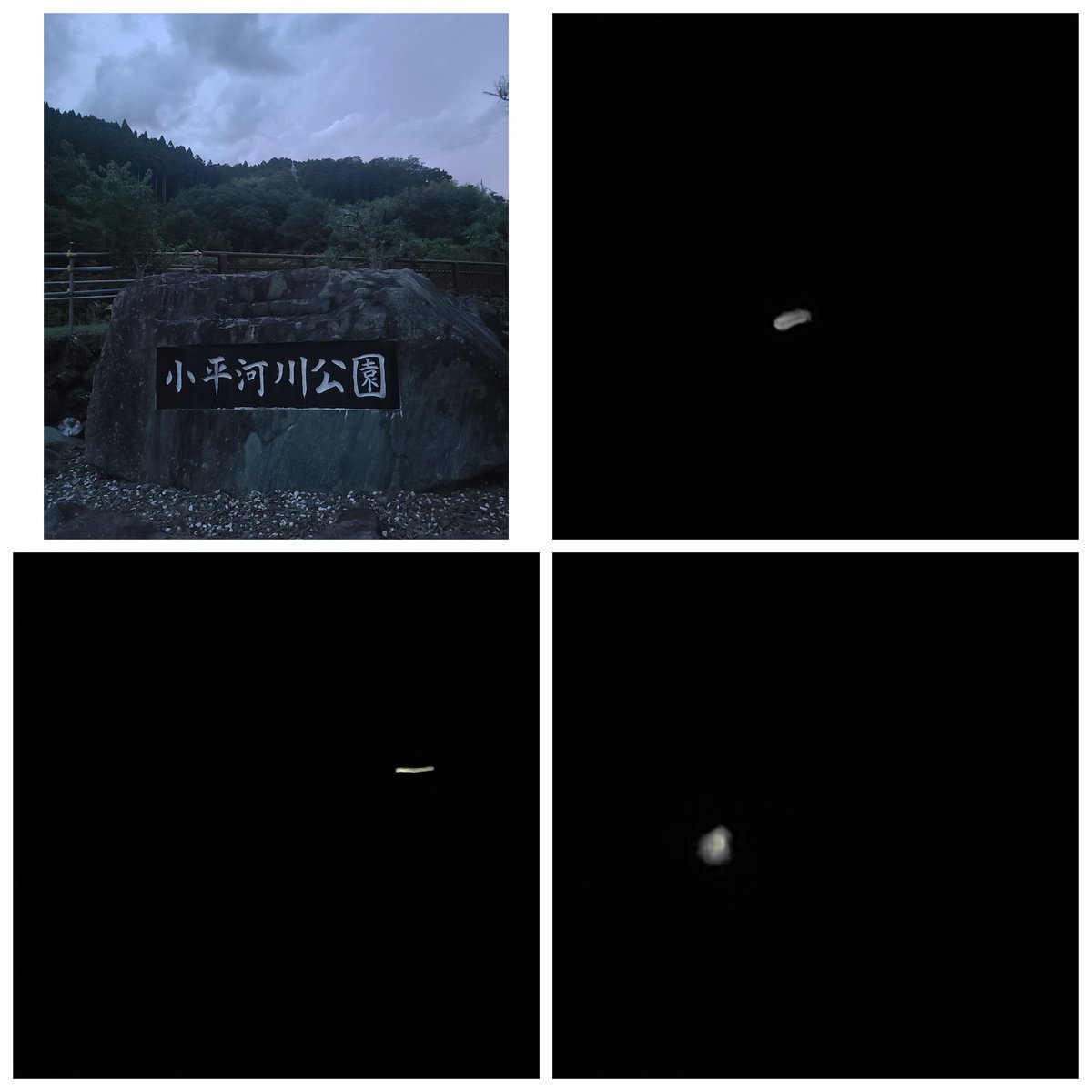 きよたん (@XIvHQqegtLy85px) / Posts / X