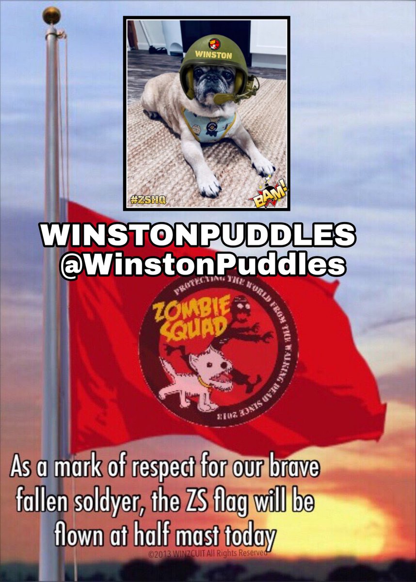 ZombieSquadHQ's tweet photo. Please join all of HQ in an honor *salute* as we lower our squad flag to honor Rear Admiral WINNY @WinstonPuddles 🫡 Winny was met at the end of the rainbow bridge by his bestest pals from #ZSHQ and his beloved  TzuKingdom. You are forever a part of our squad. Until we meet again dear friend….