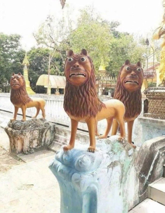 2xaOG's tweet photo. 3 lions 😂😂 https://t.co/WVfrW6PAcM