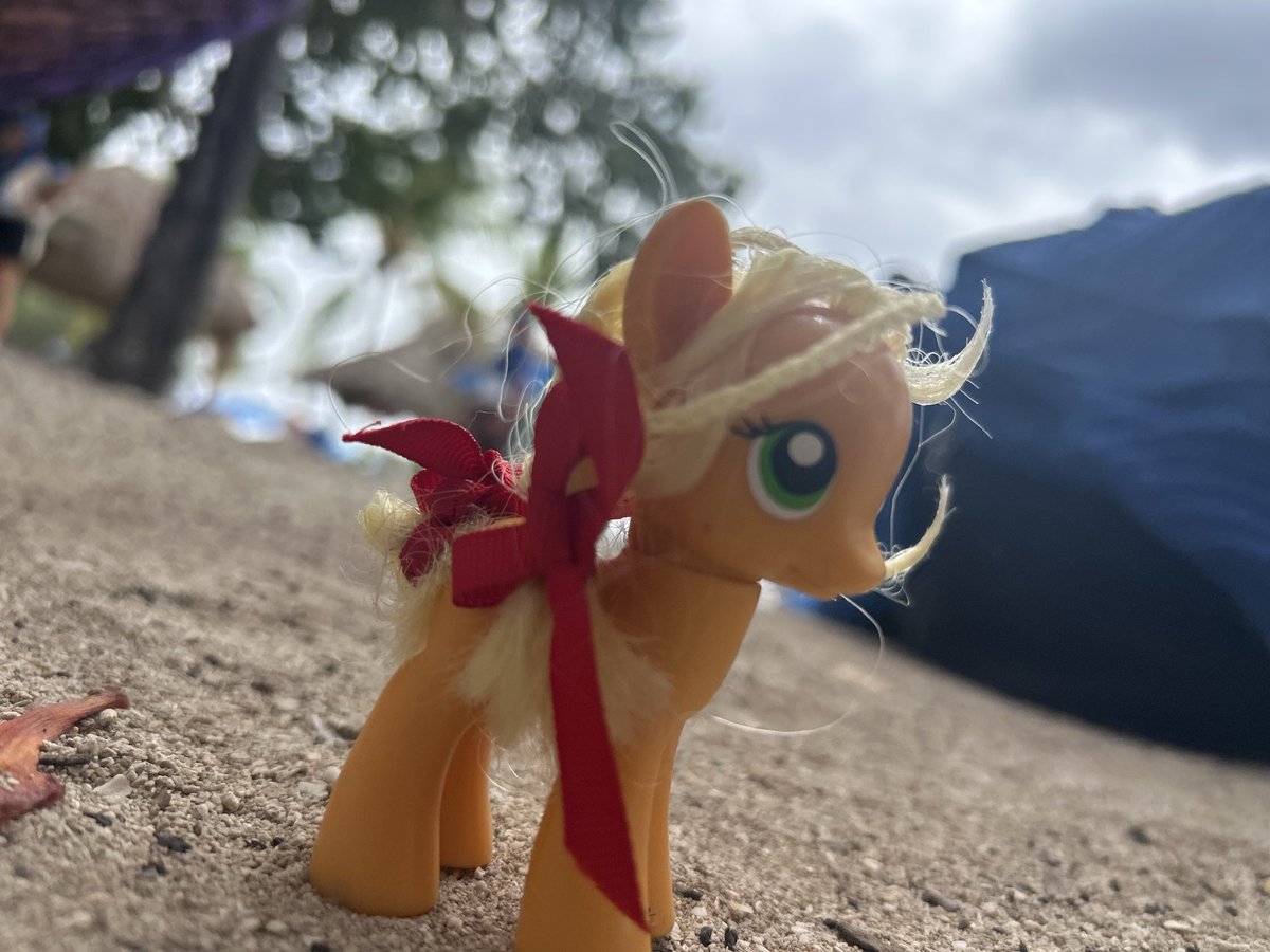 _bikinikrill's tweet photo. ponies doing things https://t.co/ur4XXszFUj