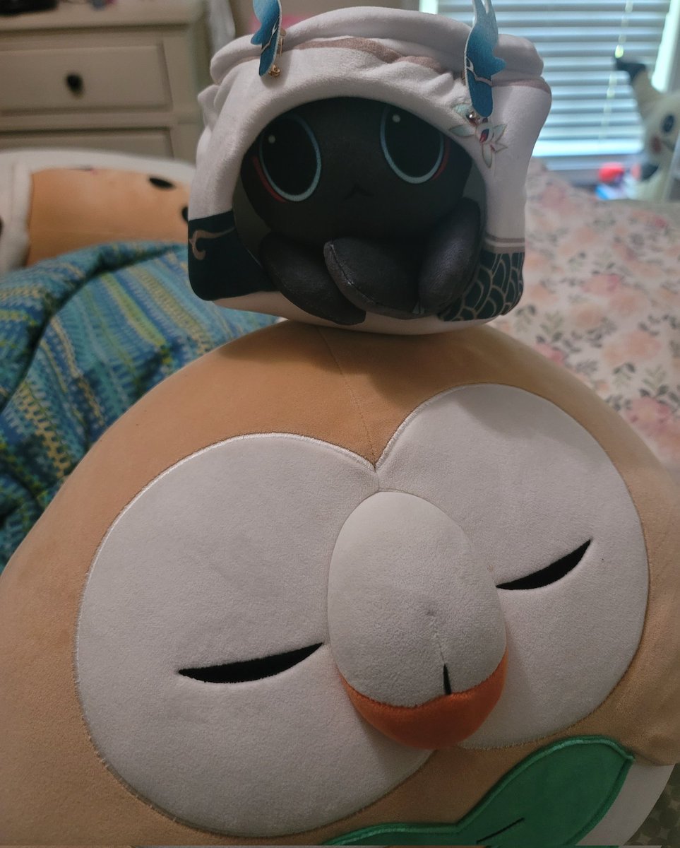PermananceCat's tweet photo. I made it to the real world! Meow! Though I'm in a weird form... I have a friend with me though!!! https://t.co/fdGGYmxyu2