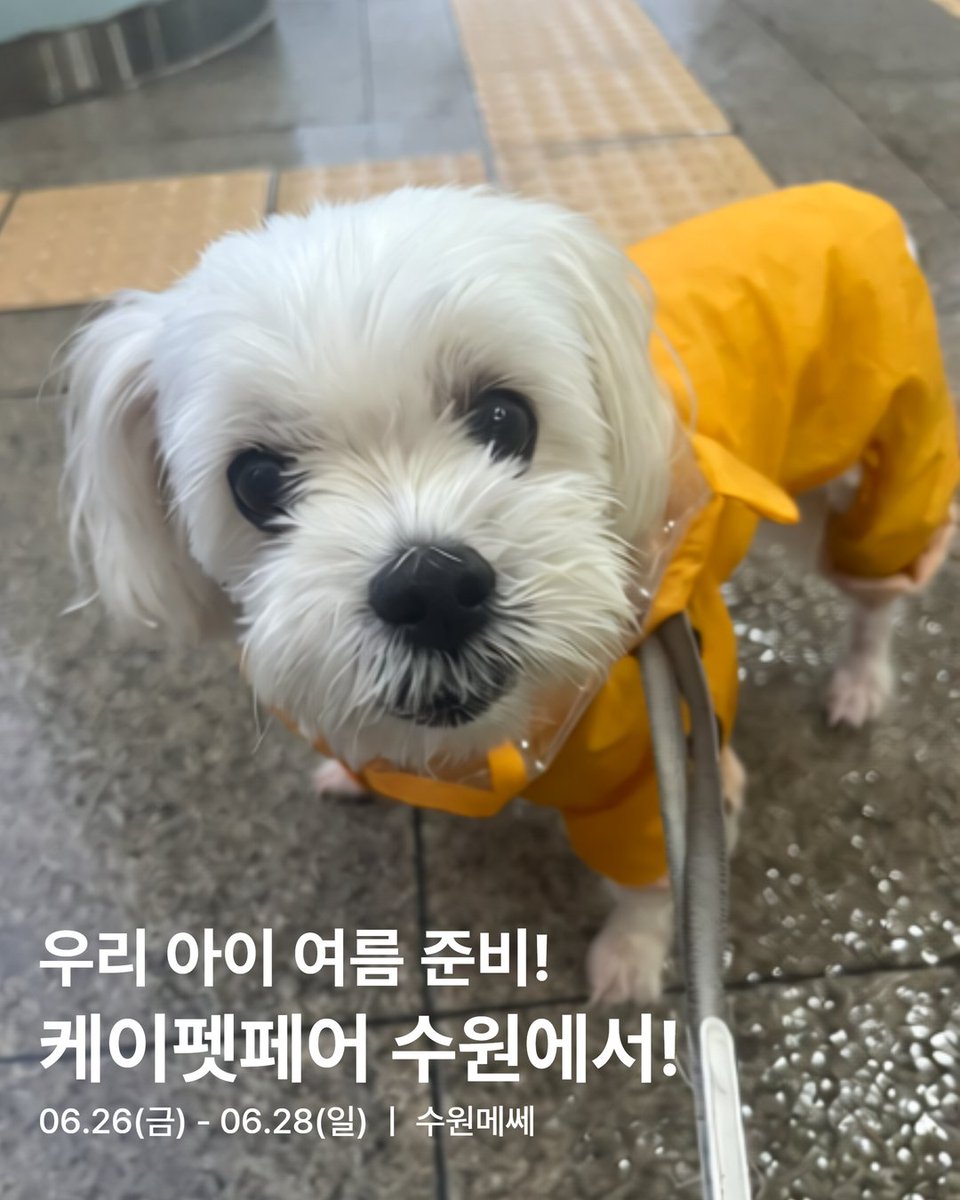 MSuwon50553's tweet photo. 이번주, 수원메쎄에서는
냥집사님도 댕집사님도 양손가득 만족할 선물이 쏟아진다!

📍2026 케이펫페어 수원 시즌2
📅 6.26(금) - 6.28(일)
⏰ 10:00 - 18:00
📍수원메쎄

✅ 6.25(목)까지 사전등록 시 무료입장 https://t.co/cfOmk8eDYX