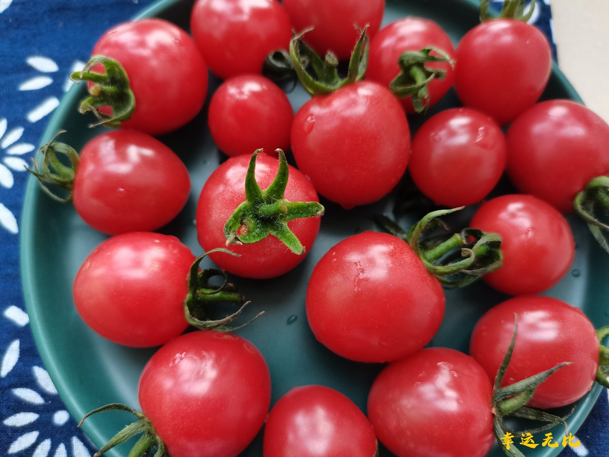 SKody80009's tweet photo. Just tried the new organic cherry tomatoes—burst with sweet juice, zero weird aftertaste, perfect for salads or snacking! https://t.co/9kuBjJbMIF