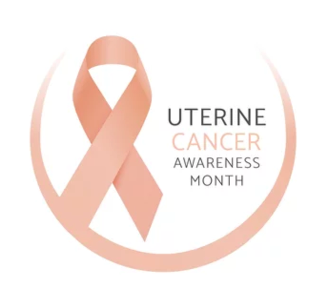 JHOPjournal's tweet photo. Uterine cancer is a clinically significant disease with evolving treatment considerations. #UterineCancerAwarenessMonth underscores the importance of early symptom recognition, timely evaluation, and the pharmacist’s role optimizing outcomes.

#Oncology #CancerCare #PatientCare https://t.co/WZS4gB965h
