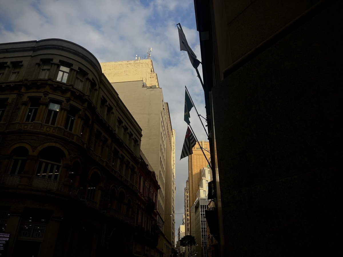 girlbloggiingg's tweet photo. pra sempre paulistana https://t.co/dcN6ZaLsqs