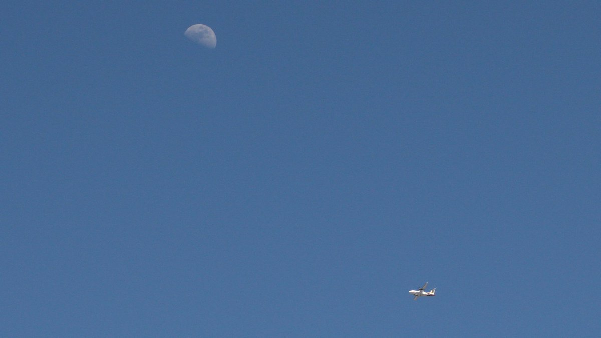 elguerolanchero's tweet photo. #moon #plane #lookup https://t.co/CuRzysQcSY