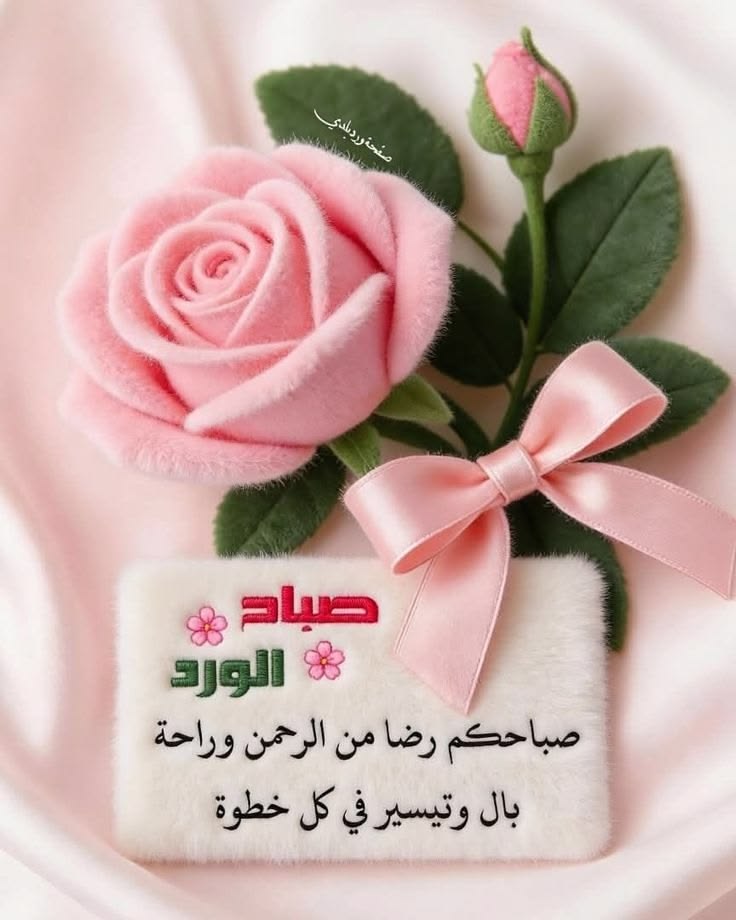 caemuldeph44719's tweet photo. صباح الخير والبركة في كل لحظة ☕ https://t.co/hfxjStq45d