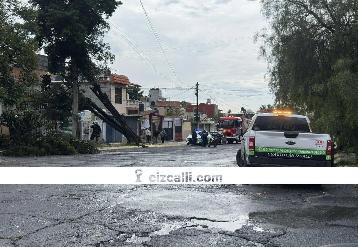 izcallicom's tweet photo. Jun 23, 2026 | 5:30 pm | Cuautitlán Izcalli | Protección Civil y Bomberos retiran 6 árboles caídos en:
▫️ Plan de Guadalupe
▫️Sta Ma Gpe Las Torres
▫️ Fidel Velázquez
▫️Tepalcapa
▫️ Atlanta
#Izalli #Tromba #Arboles https://t.co/VDcn2jb0po