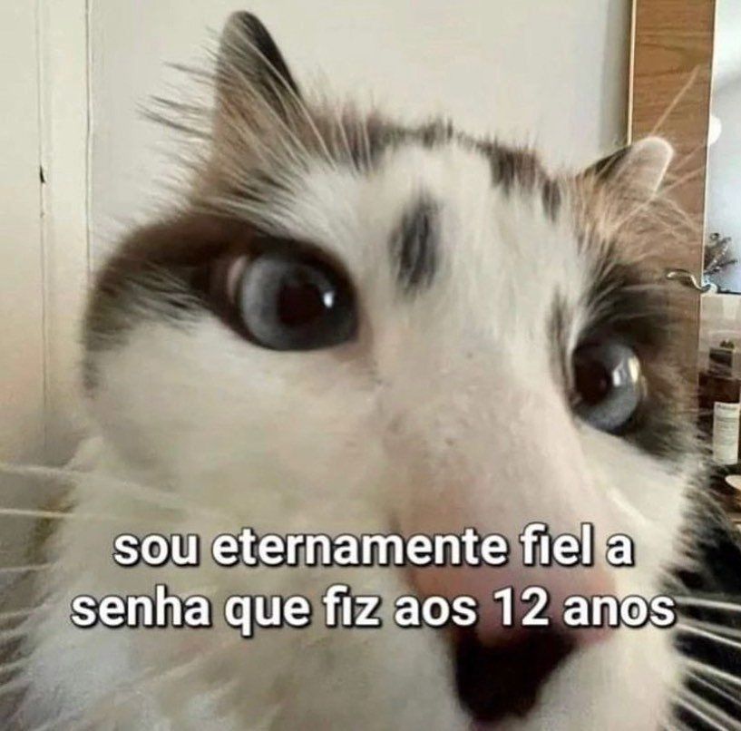 memesdogaga's tweet photo. https://t.co/YwOqTUIOtY