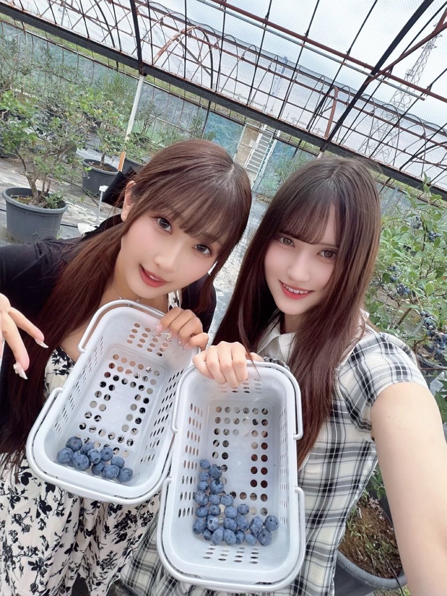 田島怜華【グランダルメ】 tweet media