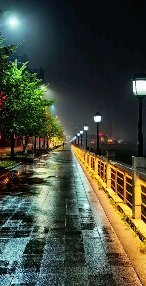 Ddwref's tweet photo. 今天加班到深夜，晚风裹着桂香飘过来，突然觉得疲惫都松了口气，原来城市也有小温柔。， https://t.co/wICssZ61Ti