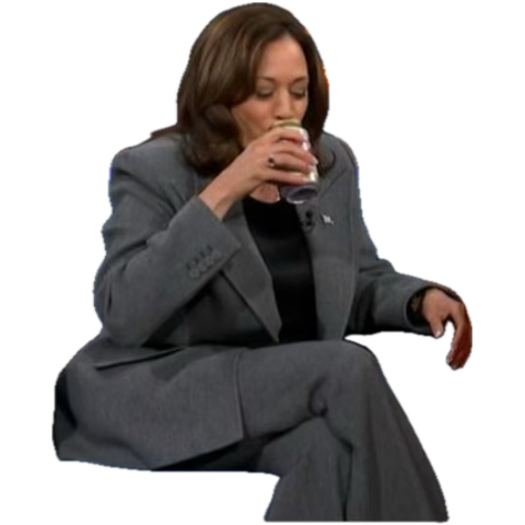 ChiefYacker's tweet photo. @WhiteHouse @POTUS @DailyMail Can you imagine Kamala at the negotiating table with anyone? https://t.co/NXjgWstpfl